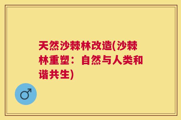 天然沙棘林改造(沙棘林重塑：自然与人类和谐共生)