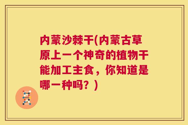 内蒙沙棘干(内蒙古草原上一个神奇的植物干能加工主食，你知道是哪一种吗？)