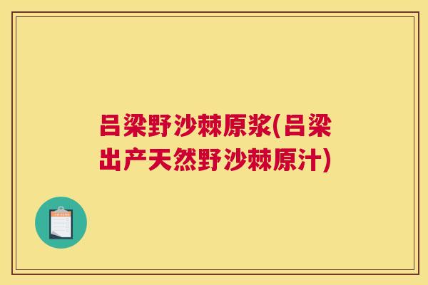 吕梁野沙棘原浆(吕梁出产天然野沙棘原汁)
