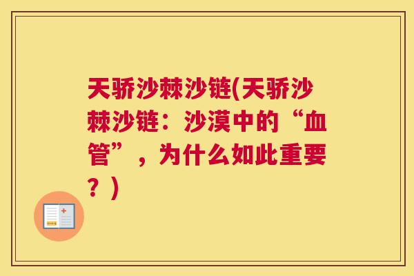 天骄沙棘沙链(天骄沙棘沙链：沙漠中的“血管”，为什么如此重要？)