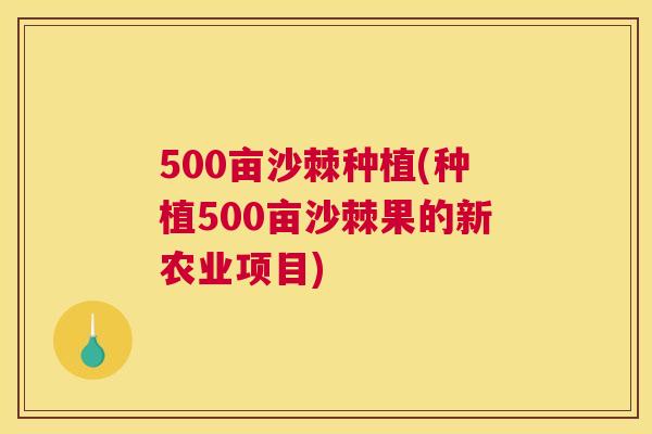 500亩沙棘种植(种植500亩沙棘果的新农业项目)