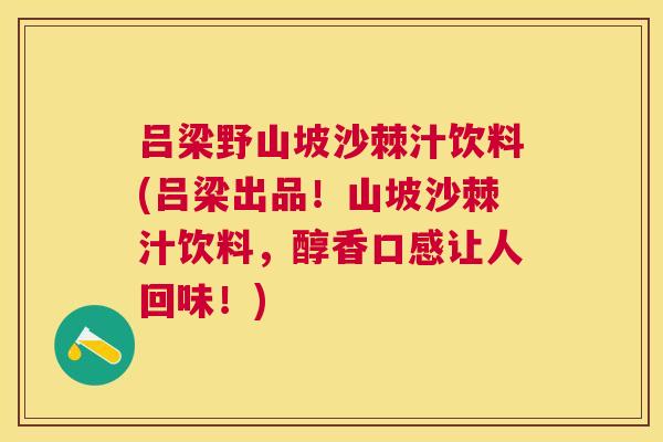 吕梁野山坡沙棘汁饮料(吕梁出品!山坡沙棘汁饮料,醇香口感让人回味!)