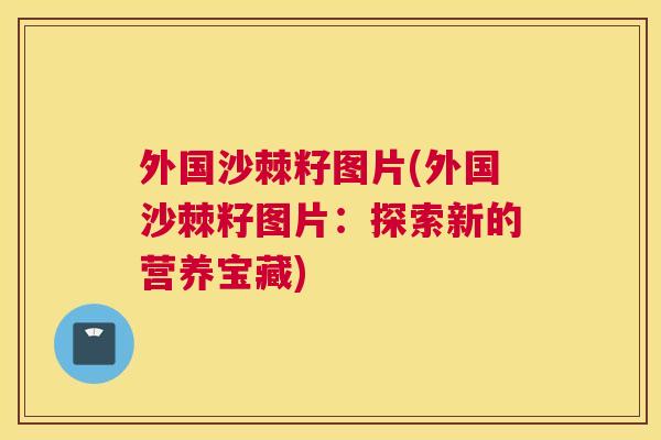 外国沙棘籽图片(外国沙棘籽图片：探索新的营养宝藏)