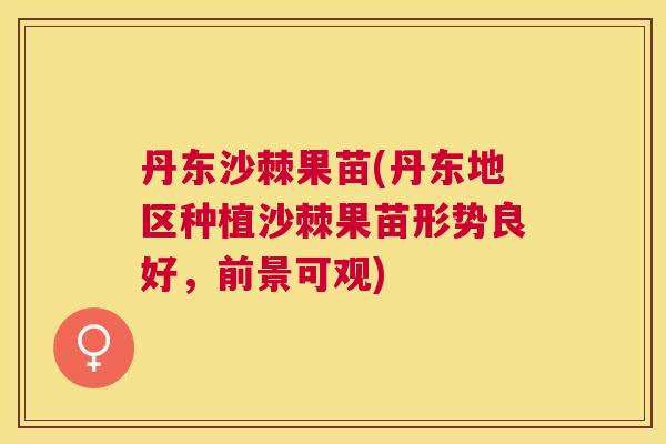 丹东沙棘果苗(丹东地区种植沙棘果苗形势良好，前景可观)
