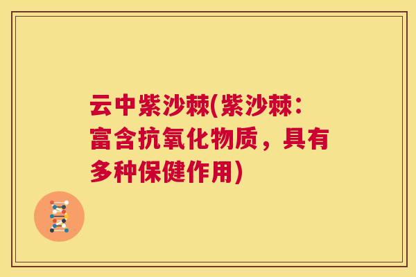 云中紫沙棘(紫沙棘:富含物质,具有多种保健作用) 云中紫沙棘(紫沙棘:富含物质,具有多种保健作用)