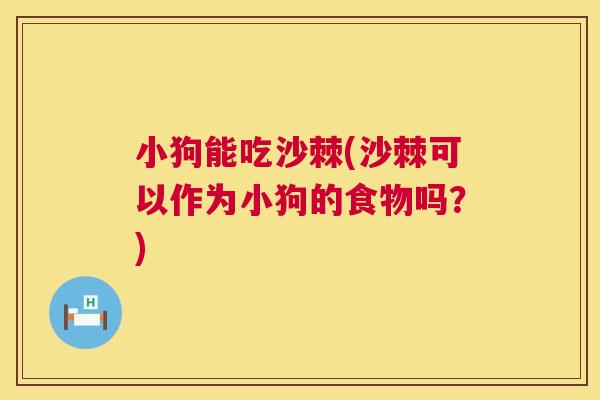 小狗能吃沙棘(沙棘可以作为小狗的食物吗?)