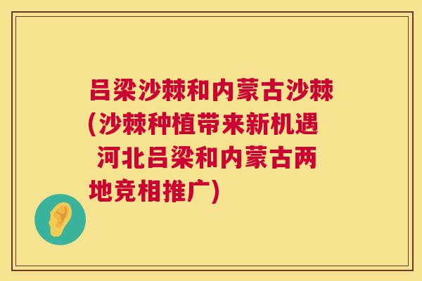吕梁沙棘和内蒙古沙棘(沙棘种植带来新机遇 河北吕梁和内蒙古两地竞相推广)