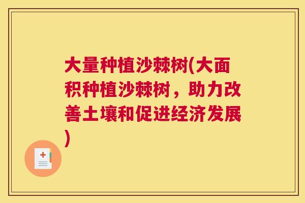 大量种植沙棘树(大面积种植沙棘树，助力改善土壤和促进经济发展)