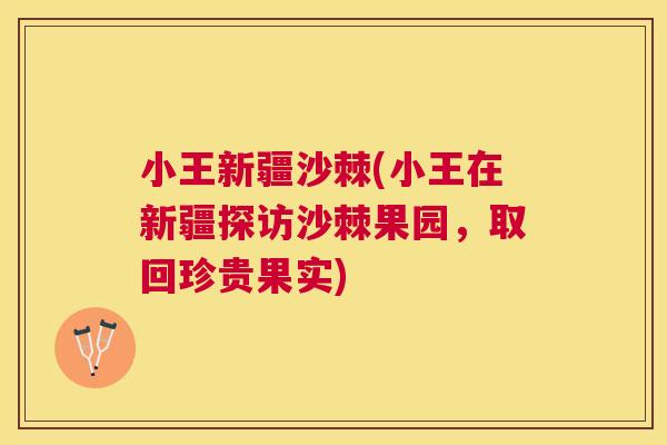 小王新疆沙棘(小王在新疆探访沙棘果园,取回珍贵果实)