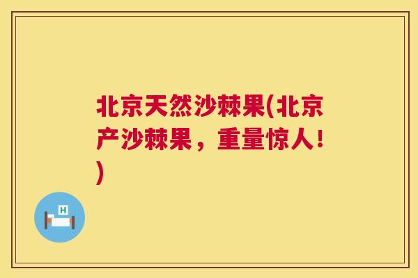 北京天然沙棘果(北京产沙棘果,重量惊人!)