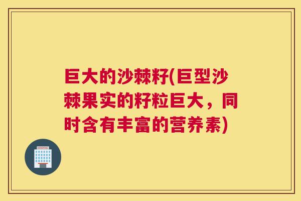 巨大的沙棘籽(巨型沙棘果实的籽粒巨大,同时含有丰富的营养素)