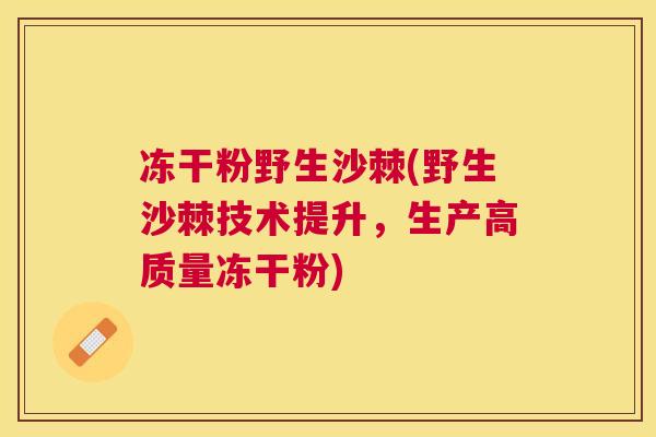 冻干粉野生沙棘(野生沙棘技术提升，生产高质量冻干粉)