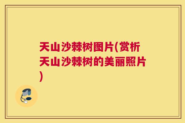 天山沙棘树图片(赏析天山沙棘树的美丽照片)