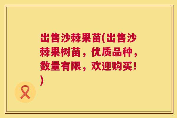 出售沙棘果苗(出售沙棘果树苗,优质品种,数量有限,欢迎购买!)