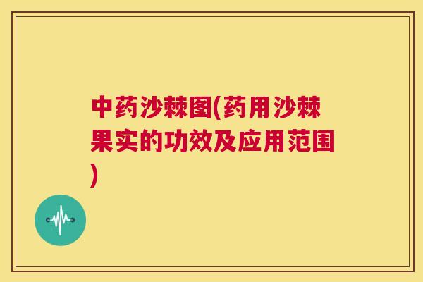 中药沙棘图(药用沙棘果实的功效及应用范围)