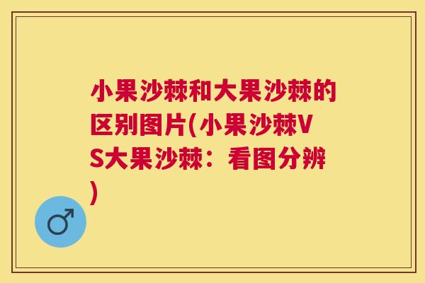 小果沙棘和大果沙棘的区别图片(小果沙棘VS大果沙棘：看图分辨)