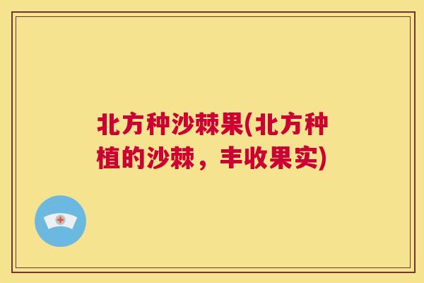 北方种沙棘果(北方种植的沙棘,丰收果实)