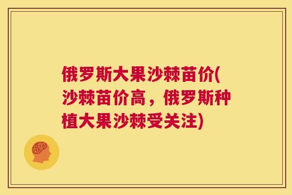 俄罗斯大果沙棘苗价(沙棘苗价高，俄罗斯种植大果沙棘受关注)