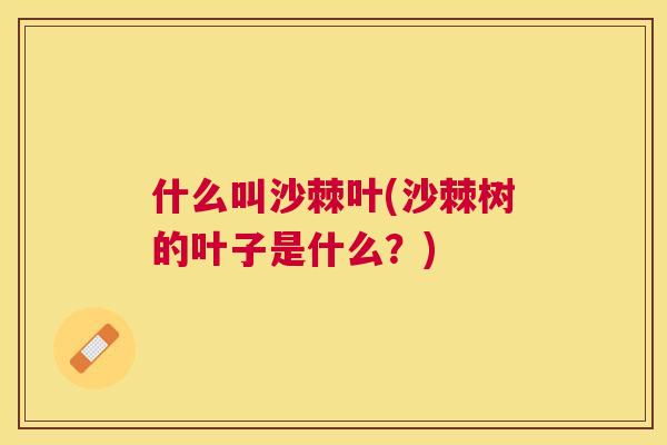 什么叫沙棘叶(沙棘树的叶子是什么？)