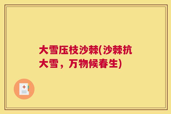大雪压枝沙棘(沙棘抗大雪，万物候春生)