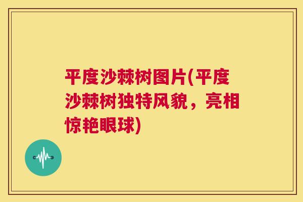 平度沙棘树图片(平度沙棘树独特风貌，亮相惊艳眼球)