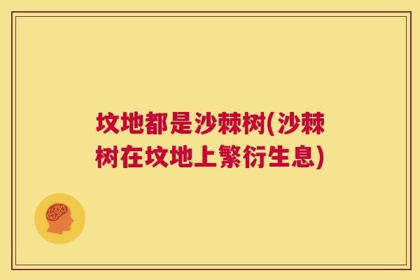 坟地都是沙棘树(沙棘树在坟地上繁衍生息)