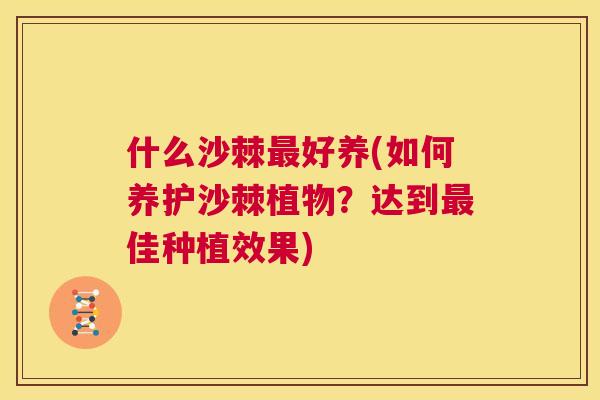 什么沙棘最好养(如何养护沙棘植物？达到最佳种植效果)