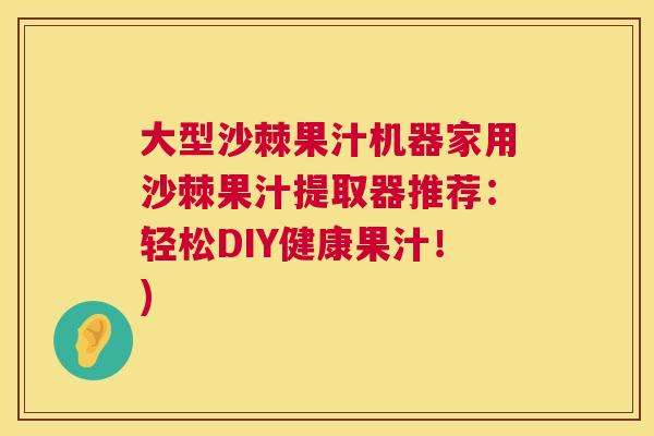 大型沙棘果汁机器家用沙棘果汁提取器推荐：轻松DIY健康果汁！)