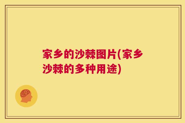 家乡的沙棘图片(家乡沙棘的多种用途)