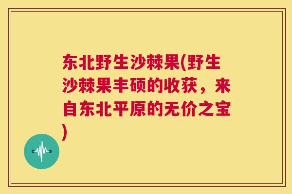 东北野生沙棘果(野生沙棘果丰硕的收获，来自东北平原的无价之宝)