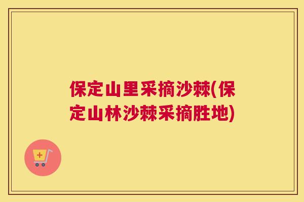 保定山里采摘沙棘(保定山林沙棘采摘胜地)