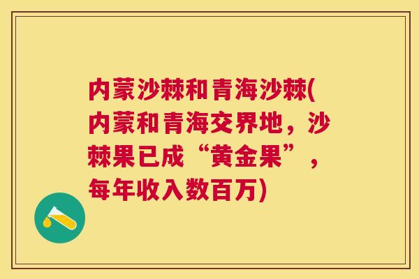 内蒙沙棘和青海沙棘(内蒙和青海交界地，沙棘果已成“黄金果”，每年收入数百万)