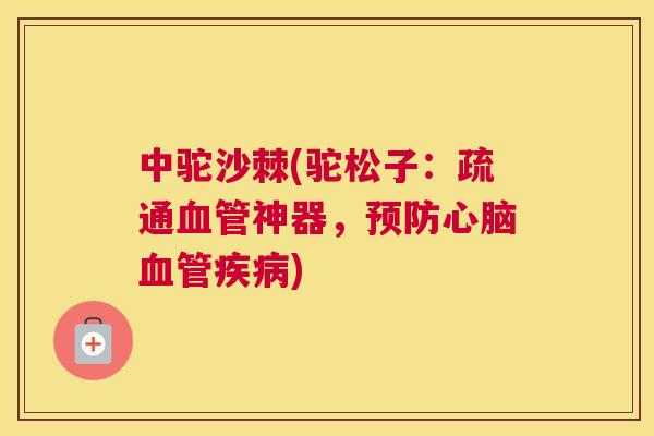 中驼沙棘(驼松子：疏通血管神器，预防心脑血管疾病)