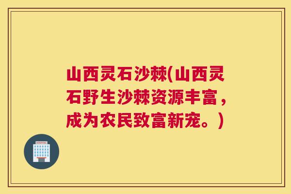 山西灵石沙棘(山西灵石野生沙棘资源丰富，成为农民致富新宠。)