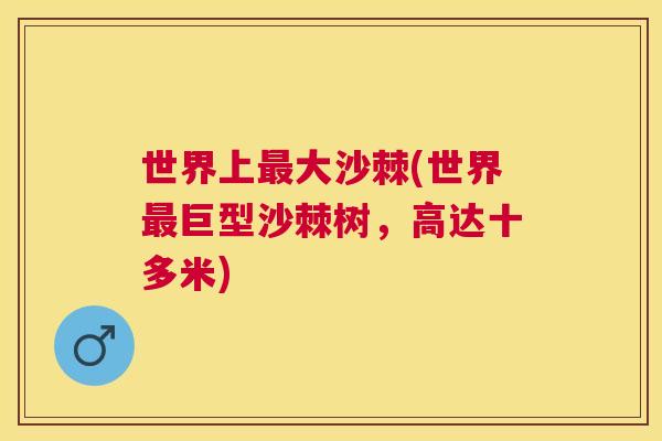 世界上最大沙棘(世界最巨型沙棘树，高达十多米)