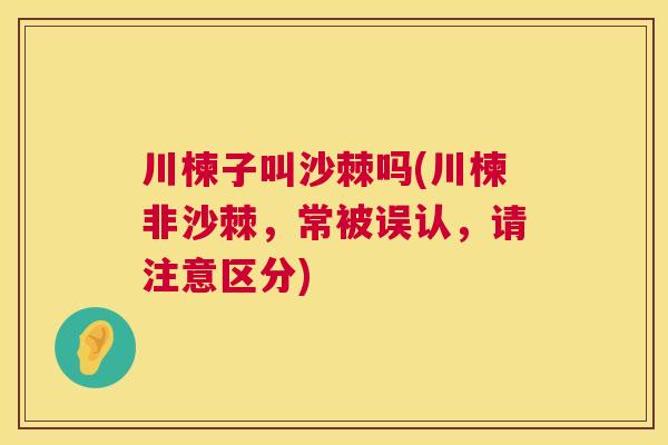 川楝子叫沙棘吗(川楝非沙棘，常被误认，请注意区分)