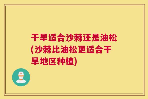 干旱适合沙棘还是油松(沙棘比油松更适合干旱地区种植)
