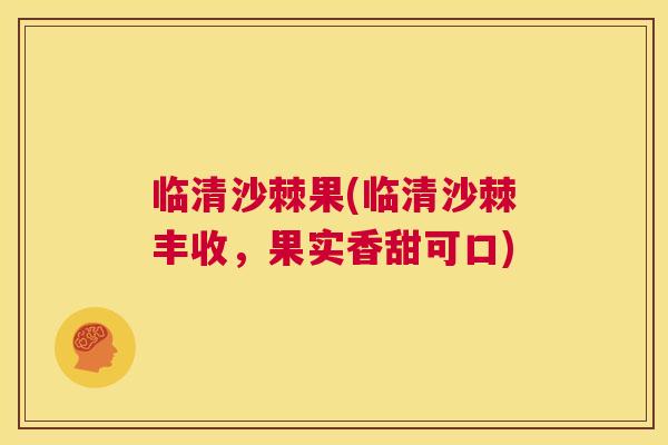 临清沙棘果(临清沙棘丰收,果实香甜可口)