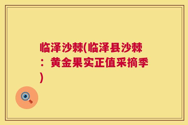 临泽沙棘(临泽县沙棘:黄金果实正值采摘季)