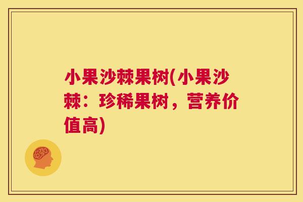 小果沙棘果树(小果沙棘：珍稀果树，营养价值高)