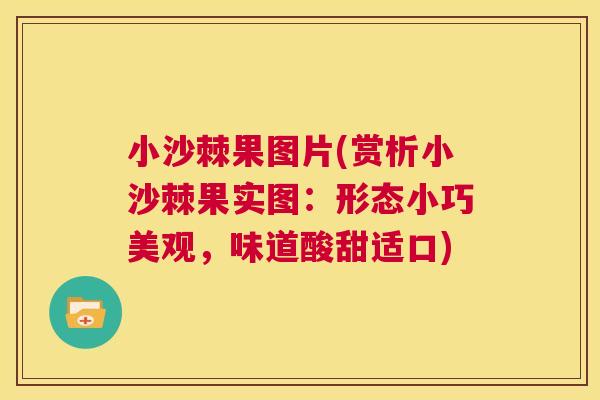 小沙棘果图片(赏析小沙棘果实图：形态小巧美观，味道酸甜适口)