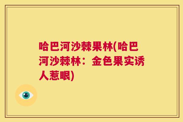 哈巴河沙棘果林(哈巴河沙棘林:金色果实诱人惹眼)