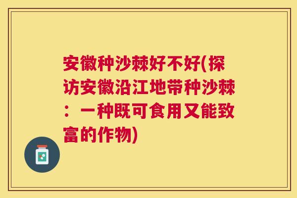 安徽种沙棘好不好(探访安徽沿江地带种沙棘：一种既可食用又能致富的作物)