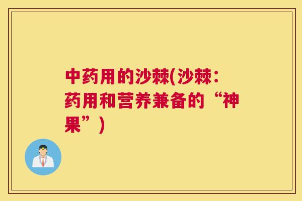 中药用的沙棘(沙棘:药用和营养兼备的“神果”)