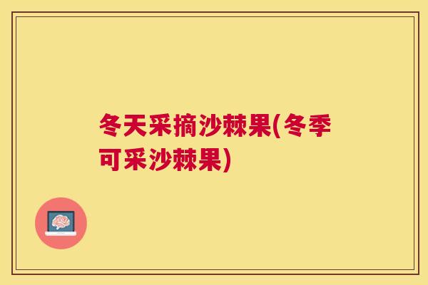冬天采摘沙棘果(冬季可采沙棘果) 冬天采摘沙棘果(冬季可采沙棘果)