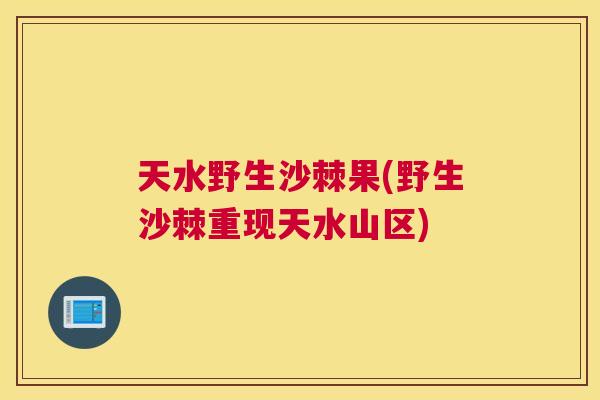 天水野生沙棘果(野生沙棘重现天水山区)