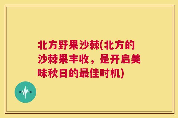 北方野果沙棘(北方的沙棘果丰收，是开启美味秋日的最佳时机)