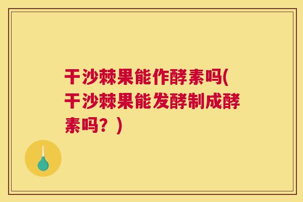 干沙棘果能作酵素吗(干沙棘果能发酵制成酵素吗?)