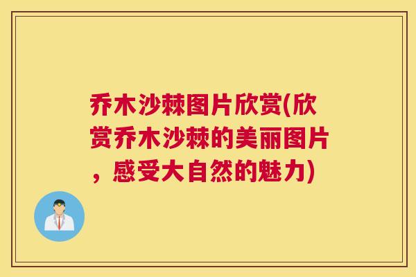 乔木沙棘图片欣赏(欣赏乔木沙棘的美丽图片，感受大自然的魅力)