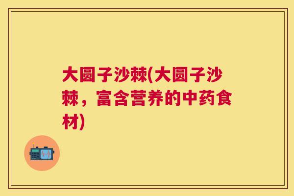 大圆子沙棘(大圆子沙棘,富含营养的中药食材)